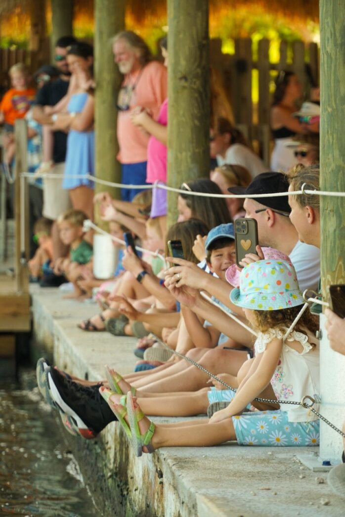 a group of people sitting on a dock next to a body of water