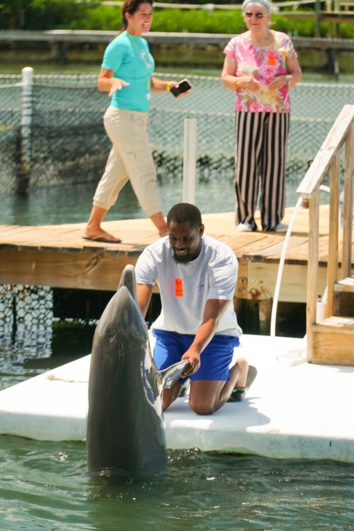 a man standing on top of a floating platform next to a dolphin