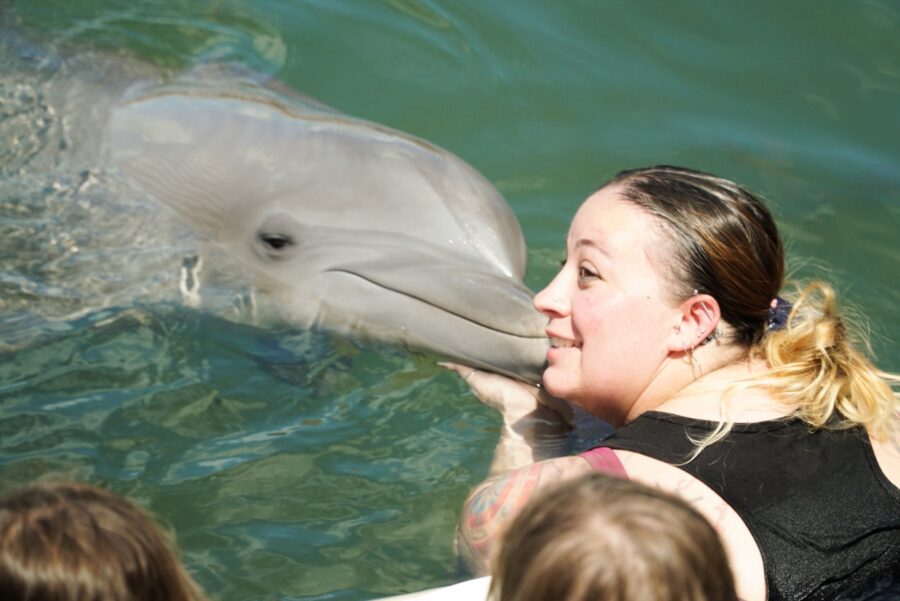 a woman kissing a dolphin in the water