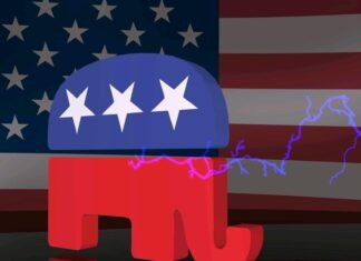 an elephant with stars on its head in front of an american flag