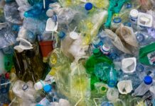 Close Up Photo of Plastic Bottles