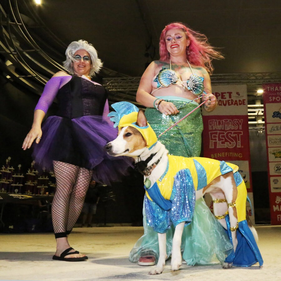 a couple of women standing next to a dog