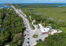 an aerial view of a road and a body of water