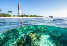 an underwater view of a lighthouse in the ocean