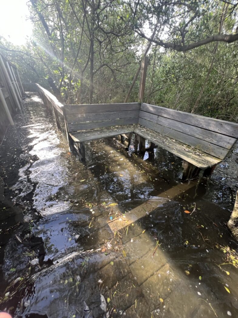 a wooden bench sitting in the middle of a flooded park