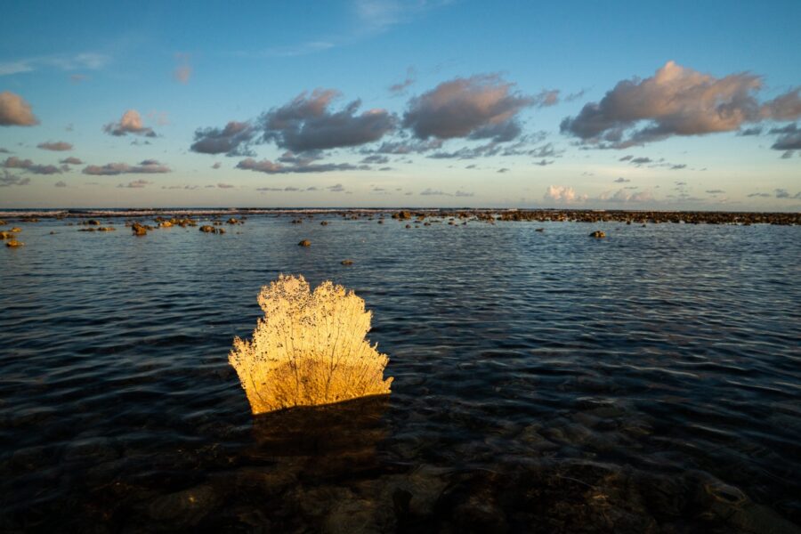 a yellow object floating on top of a body of water