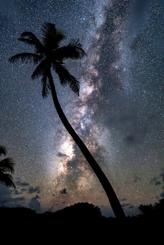 a palm tree with the milky in the background