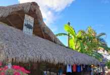 a hut with a thatched roof and a wooden bench