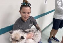 a woman sitting on a bench holding a dog