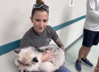 a woman sitting on a bench holding a dog