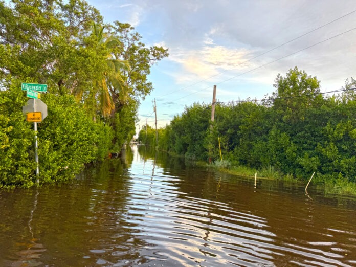 a flooded street with a street sign in the middle of it