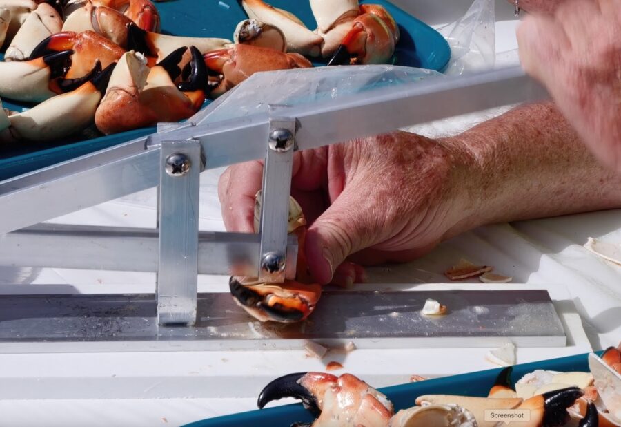 a man is using a machine to cut up crabs