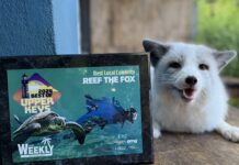 a white dog sitting next to a picture frame