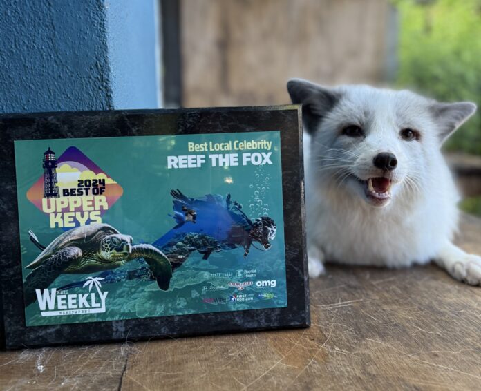 a white dog sitting next to a picture frame