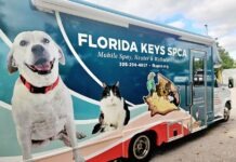 a truck that has a dog on the side of it