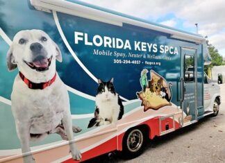 a truck that has a dog on the side of it