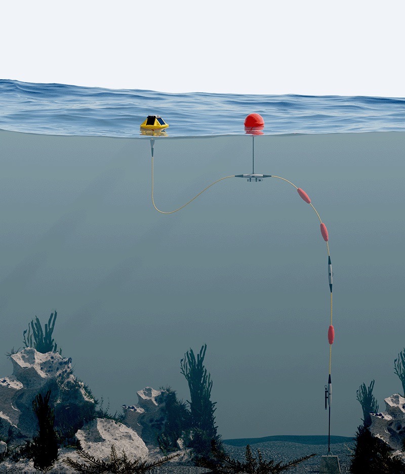 a red buoy is hooked up to a pole in the ocean