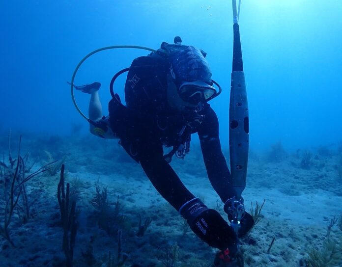 a person scubas in the ocean with a fish