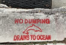 a sign on a concrete wall that says no dumping drains to ocean