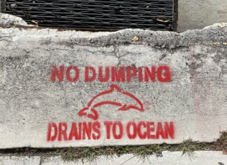 a sign on a concrete wall that says no dumping drains to ocean