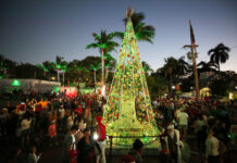 a crowd of people standing around a christmas tree