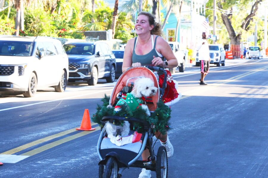 a woman riding a bike with a dog in the basket