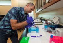 a man in a blue shirt and purple gloves working in a lab