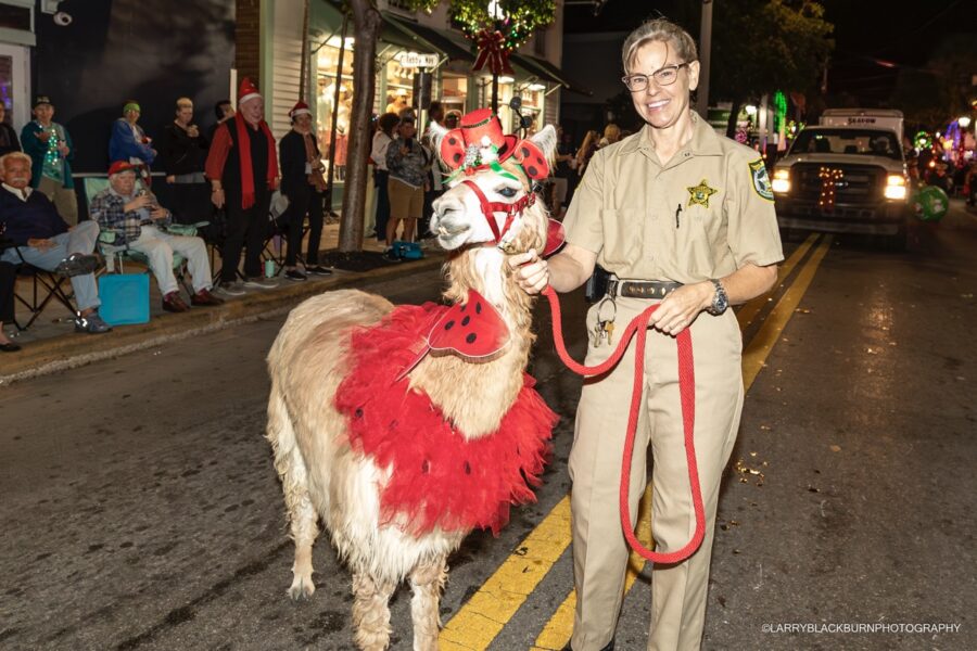 a woman in a costume is walking a llama down the street