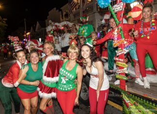 a group of people dressed in christmas costumes