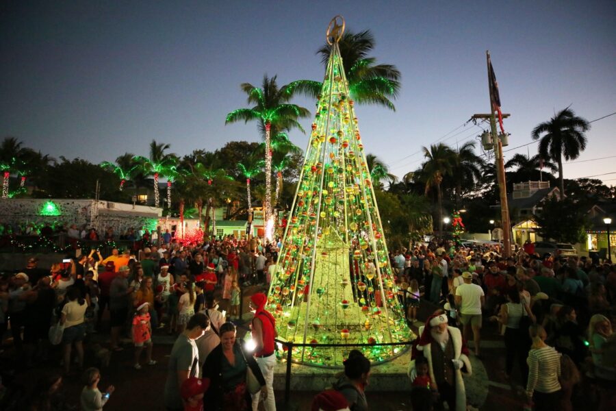 a crowd of people standing around a christmas tree