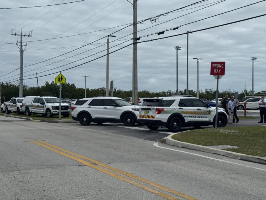 a line of police cars parked on the side of a road