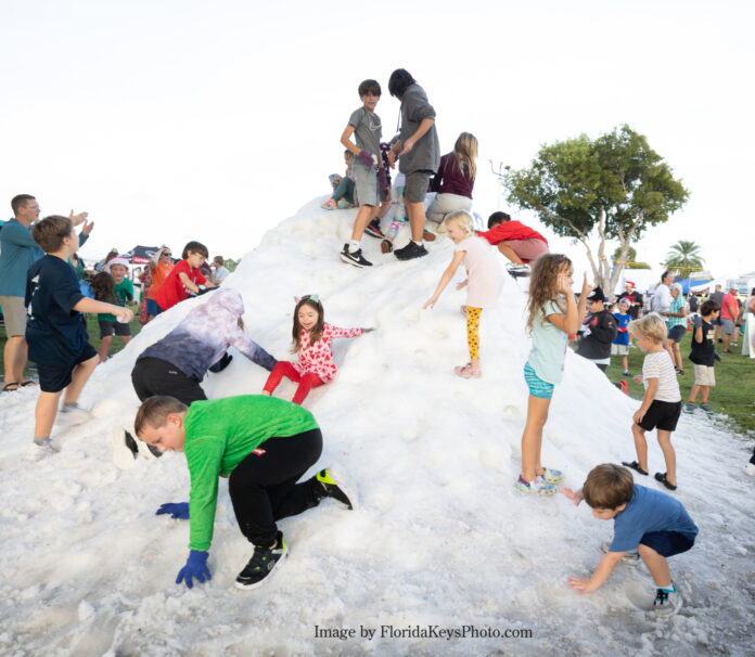 a group of children playing in the snow