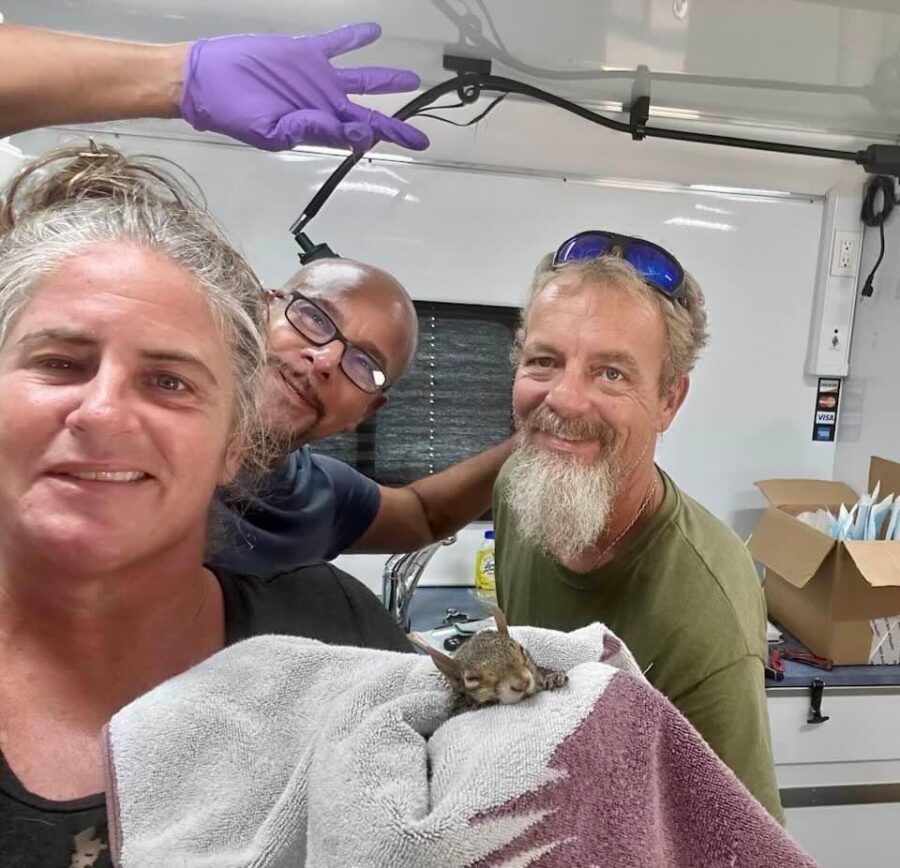 a group of people in a room with a cat on a towel