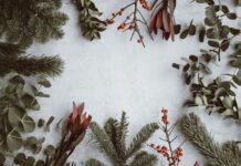 assorted-type of leaves lying on white panel