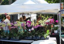 a group of people standing under a tent selling flowers