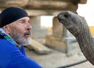 a man in a blue shirt is petting a turtle