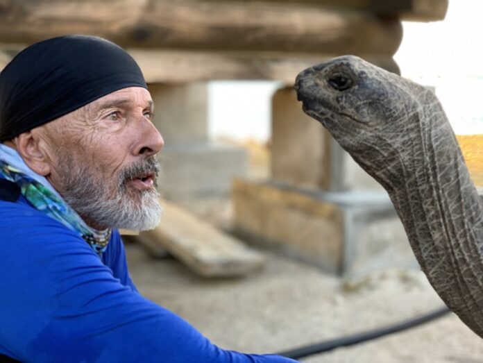 a man in a blue shirt is petting a turtle