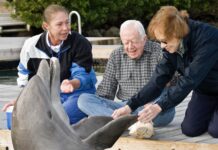 two women and a man petting a dolphin