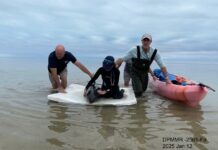 a group of people standing on a surfboard in the water