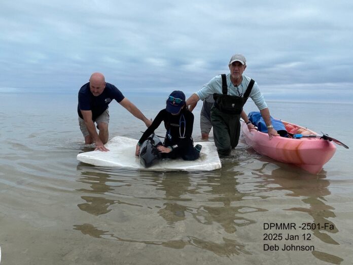 a group of people standing on a surfboard in the water