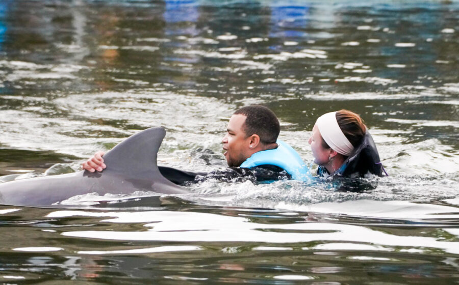 a man and a woman are swimming with a dolphin