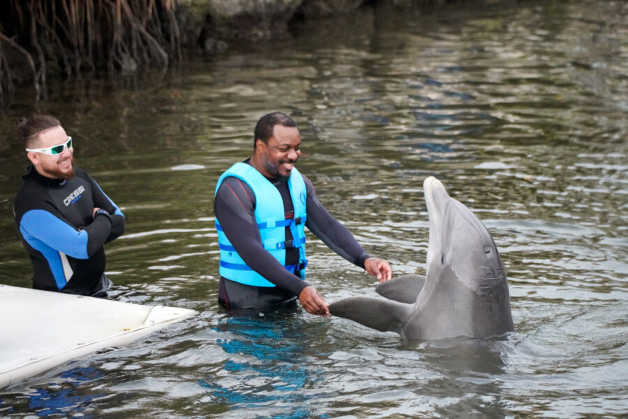 a man standing next to a dolphin in a body of water