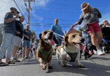 a group of people walking dogs down a street