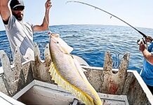 a couple of men on a boat with a fish