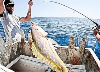 a couple of men on a boat with a fish