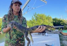 a woman holding a large alligator in her hands