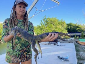 THE WAR ON IGUANAS: INVASIVE ENVOGUE TAKES AIM AT DESTRUCTIVE REPTILES