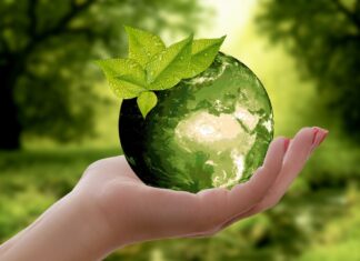 a hand holding a green globe with a leaf on it