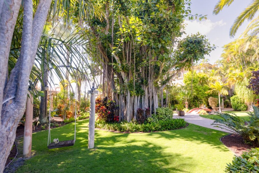 a lush green yard with lots of trees