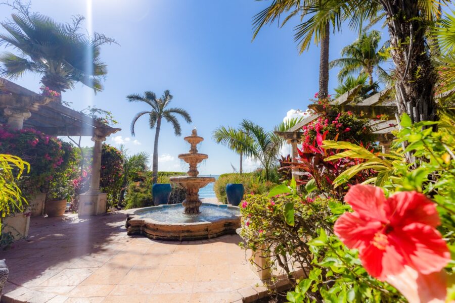 a garden with a fountain in the middle of it